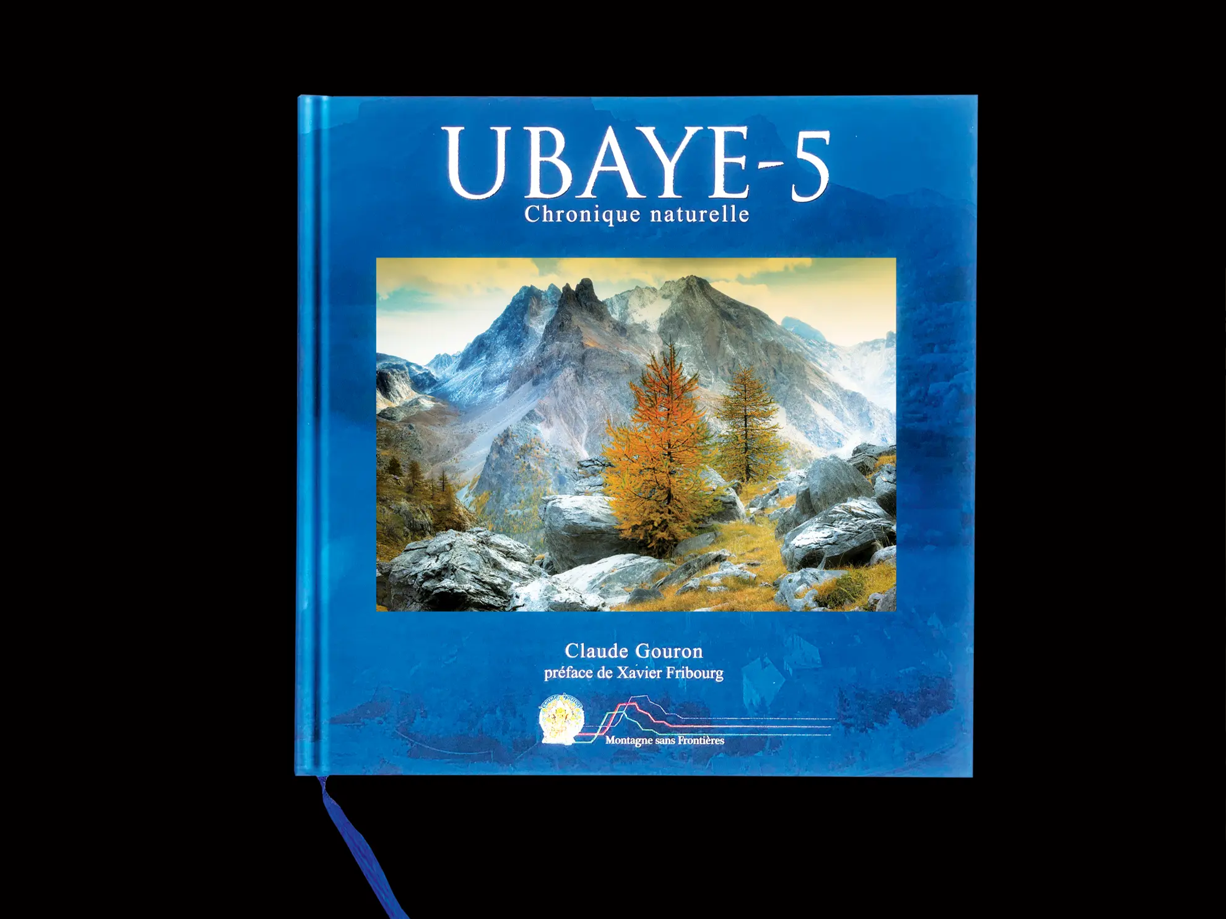 immagine_3_edizioni acelum