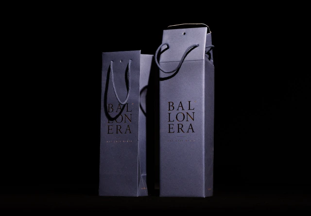 immagine_8_cartotecnica