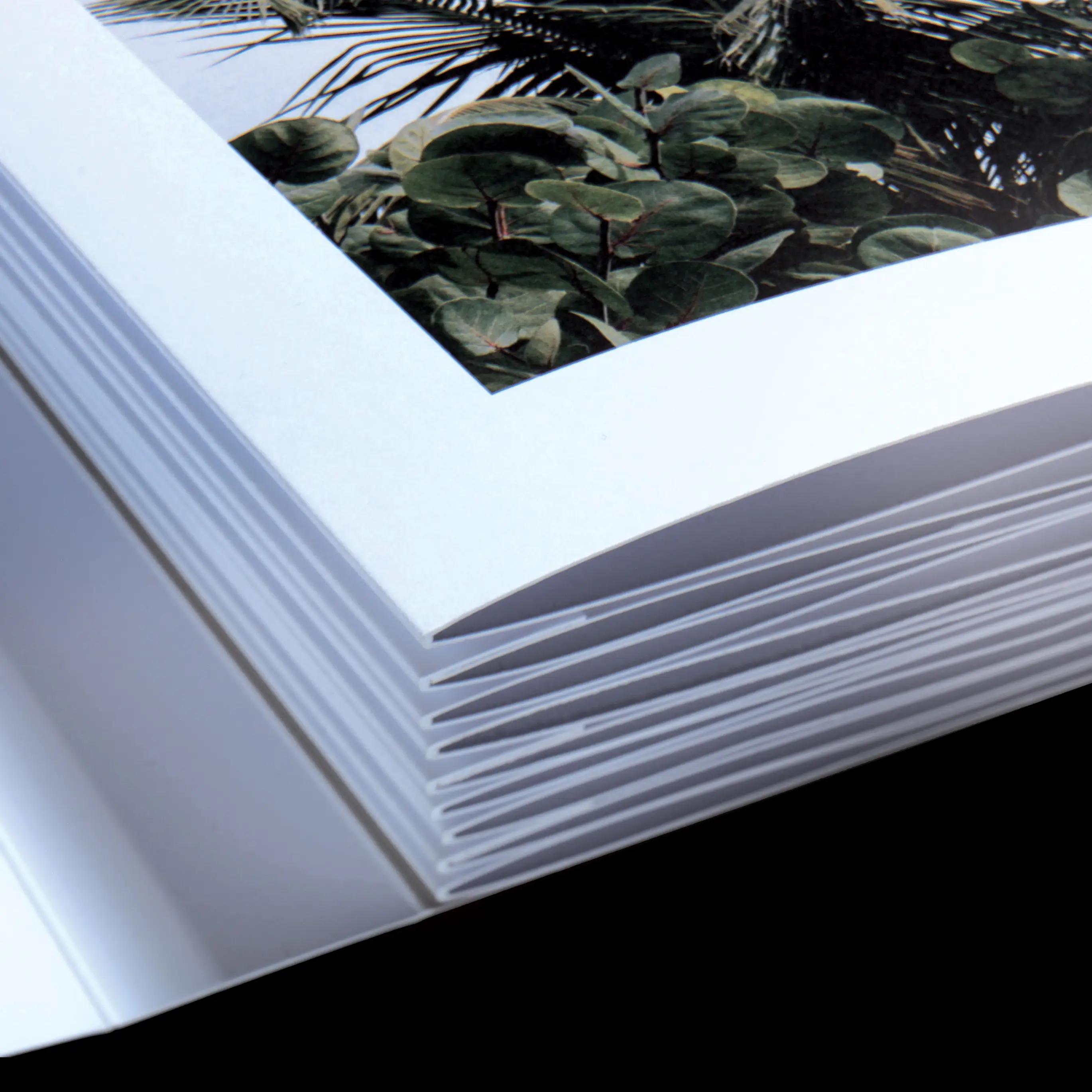 immagine_9_tipografia